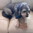 SPOT 8in Dura-Fused Leather Squirrel Dog Toy Real Leather & Jute Fabric, Double-Stitched & Durable, Soft Stuffed