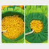 Pet Olfactory Feeding Pad Training Mat - Interactive Puzzle Toy for Dogs & Cats - Natural Foraging Tool - Spring