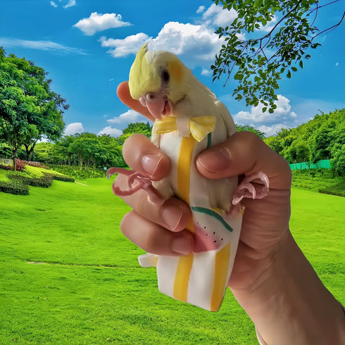 Magnoloran 2Pcs 80 Inch Bird Diapers Bird Harness Flight Suits Diapers with Flying Leash Parrot Nappy Washable Cute