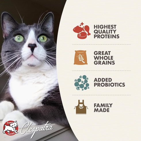 Fromm Healthy Weight Gold Dry Cat Food, Chicken Recipe, 4 lb, Weight Management for Adult & Senior Cats