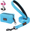 Didog 6FT Reflective Nylon Dog Leash, Durable 1” Wide Walking Pet Lead with Soft Padded Handle & Poop Bag Dispenser