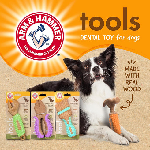 Arm & Hammer for Pets Chew Tools Collection, Wood Blend Paintbrush Chew Toy for Dogs, 7.5 Inch