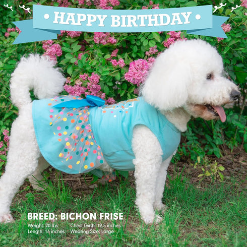 cyeollo Dog Birthday Dress, Tulle Clothes for Small Medium Dogs, Holiday Outfit Apparel, Blue, XL