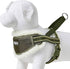 Blueberry Pet Adjustable No Pull Training Dog Harness, Olive Green, Small, Chest Girth 16.5" - 21", Multi-Colored