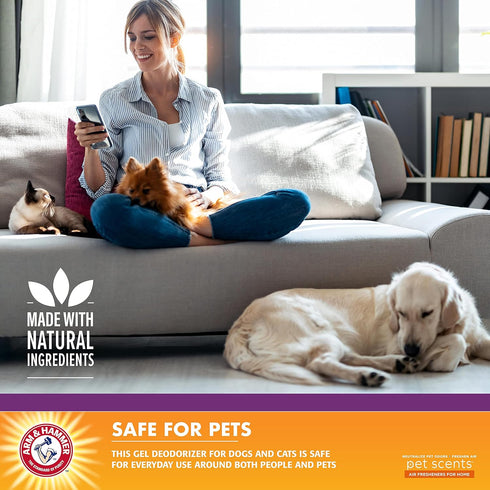Arm & Hammer For Pets Plug-in Scented Oil Refills in Lavender Fields, 2-Pack Home Deodorizer for Pet Smells