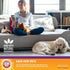 Arm & Hammer For Pets Plug-in Scented Oil Refills in Lavender Fields, 2-Pack Home Deodorizer for Pet Smells