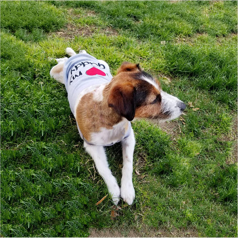 3 Pack Dog Shirt for Small Dogs - Summer Clothes with Love Mommy and I Love My Daddy, Soft Breathable Pet Outfits