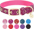 Blueberry Pet Adjustable Dog Collar in Cerise Pink, Glam Life Gold Stamping Lace, Neck 7.5-10", for Small Breed