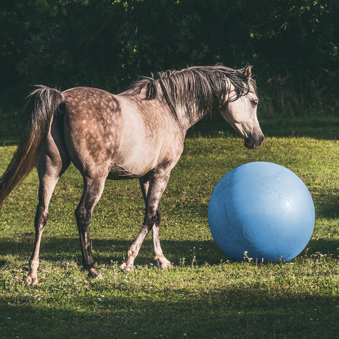Rural365 Large Horse Ball Toy - 40in Anti-Burst Giant Horse Ball with Pump Included (Blue)