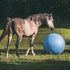 Rural365 Large Horse Ball Toy - 40in Anti-Burst Giant Horse Ball with Pump Included (Blue)