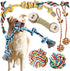 Sharp Teeth Challenger Series 9 Pack Heavy Duty Dog Toys - Indestructible Chew Toys for Large Medium Dogs