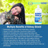 Kidney Support Supplement for Dogs and Cats, Canine Feline Renal Health, Detox, Urinary Track Cleansing, Improve Kidney