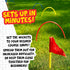 Franklin Sports Kick Croquet Game Set - Combines Soccer and Croquet - Perfect for Kids and Adults - Great for Outdoor