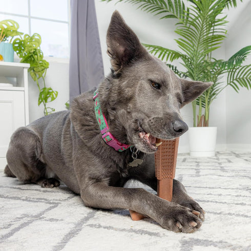 SPOT Bam-bones PLUS T Bone, Durable Bamboo Fiber & Nylon Chew Toy for Aggressive Chewers, 7in