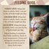 Merrick Purrfect Bistro Grain Free Premium Canned Pate Adult Wet Cat Food, Variety Pack, Chicken, Duck, Turkey - (Pack