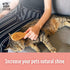 The Buddy System Cat Brush, Professional Grade Daily Grooming Hairbrush with Boar Bristle, Wooden Handle (1 Pack)