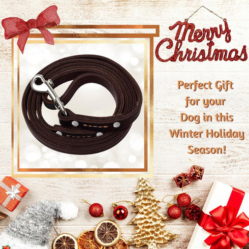 ADITYNA Premium Leather Dog Leash - 6 ft, Heavy-Duty, Soft & Strong for Small/Medium Dogs, Perfect for Walking,
