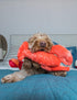Fluff & Tuff Manny Lobster Toy
