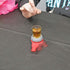Spin The Bottle Shot Glass Game - Fun Drinking Party Novelty
