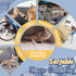 20 Count MICOOYO Disposable Cat Diapers, Cat Diapers for Female Cats with Ultra Stretchy, Puppy Diaper Super Absorbent