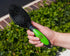 Pet Magasin Professional Grooming Brushes (Pack of 3) - Double Sided Brush, Long Tooth Rake & De-Matting Comb