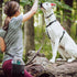 Blue-9 Inspire Dog Training Treat Pouch - Convenient Storage and Easy Access for Treats