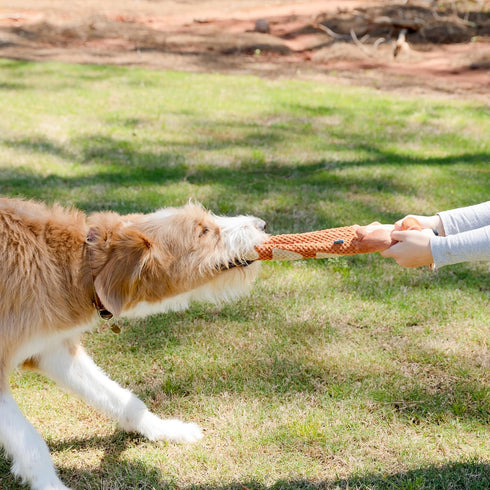 Crinkle Dog Toy Plush, Long Tug-of-War Squeaky Toy, Durable Mentally Stimulating Toys for Dogs