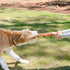 Crinkle Dog Toy Plush, Long Tug-of-War Squeaky Toy, Durable Mentally Stimulating Toys for Dogs