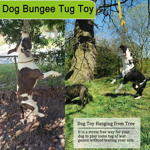 Dog Bungee Tug Toy, Durable Interactive Rope Toy Hanging from Tree for Small, Medium, Large Dogs, Outdoor Tug of War