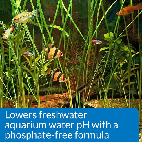 4-Ounce API pH DOWN Freshwater Aquarium Water pH Reducing Solution Bottle