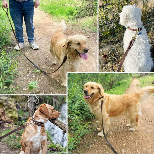 Leather Dog Leash 6ft x 3/4 inch - Strong Heavy Duty Genuine Leather Braided Training Leash for Dogs