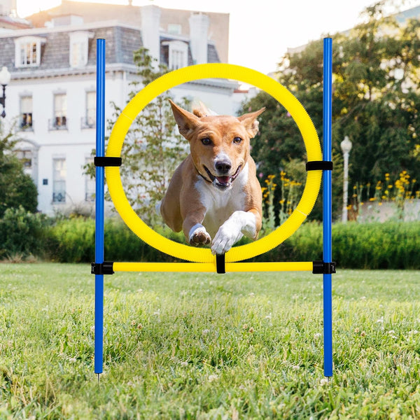 Dog Agility Training Equipment, Obstacle Course Jumper Ring, Height Adjustable Portable Tool for Backyard Exercise