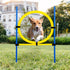 Dog Agility Training Equipment, Obstacle Course Jumper Ring, Height Adjustable Portable Tool for Backyard Exercise