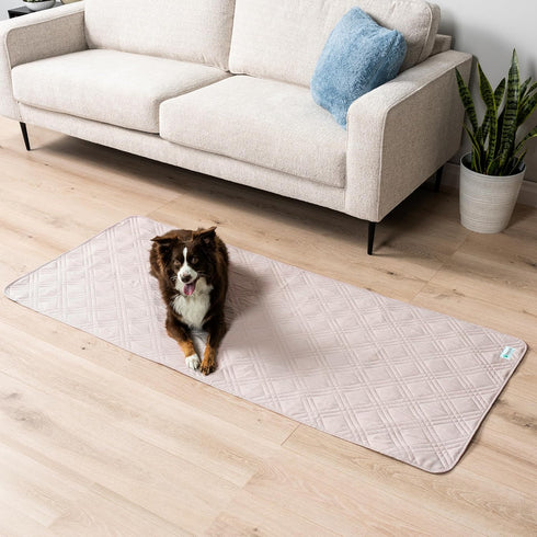 PetAmi Waterproof Couch Cover for Dogs, Reversible Furniture Protector, Washable Blanket Dog Cover for Couch Seat