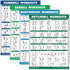 Palace Learning 4 Pack - Dumbbell Workouts + Barbell Workouts + Bodyweight Workouts + Kettlebell Workout Charts