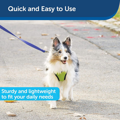 PetSafe Nylon Dog Leash - Strong, Durable, Royal Blue, 3/8 in. x 6 ft. with Bolt Snap