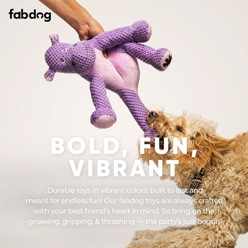 fabdog Floppies Plush Dog Toy - Cute & Durable Squeaky Dog Toys - Best Squeak Toy for Puppies and All Breeds | Ideal