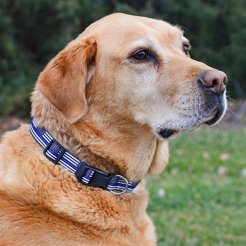 Native Pup Thin Blue Line Flag Dog Collar, Large
