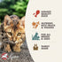 Fromm Four-Star Nutritionals Duck A La Veg Cat Food - Premium Dry Cat Food, Duck Recipe, 4 lb