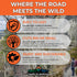 Pocket Chainsaw, 36 Inch Manual Hand Chain with 48 Bidirectional Teeth for Fast Easy Cutting, Camping Survival Gear