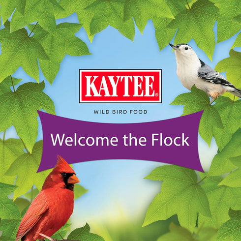 5 lb Kaytee Nut & Fruit Wild Bird Seed