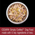 CESAR SIMPLY CRAFTED Adult Soft Wet Dog Food Meal Topper, Beef, Chicken, Purple Potatoes, 10 Tubs, 1.3 oz