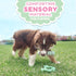 Nylabone Sensory Material Puppy Chew Toys Bundle, Allergen-Free Peanut Butter and Chicken Flavor, Small/Regular (2