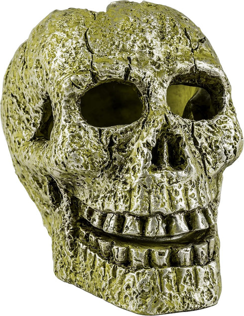 GloFish Skull Ornament, Detailed Aquarium Hideaway for Fish