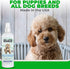 Pack 16 oz We Love Doodles Small Slicker Brush & Lavender Detangler Spray - Dog Leave-in Conditioner for Reducing Mats