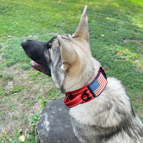 2-Inch Wide Tactical Dog Collar with Control Handle, Adjustable for Medium & Large Dogs, Military Style with Name Plate
