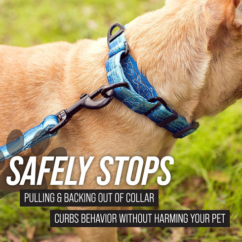 Leashboss Martingale Collar for Dogs, Reflective Nylon No Pull Training Collar, Adjustable for Large, Medium & Small