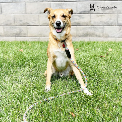 Warren London Climbing Rope Dog Leash - 5ft Length with Reflective Options, Ergonomic Grip for Heavy Duty Dogs