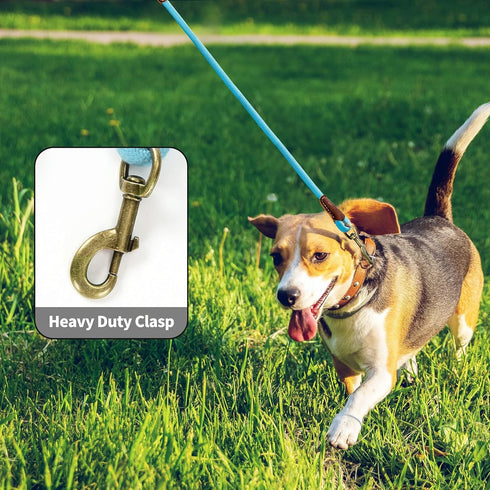 Mile High Life 5 Feet Dog Leash | Strong Rope with Premium Leather Handle | Heavy Duty Clasp | Blue for All Dogs