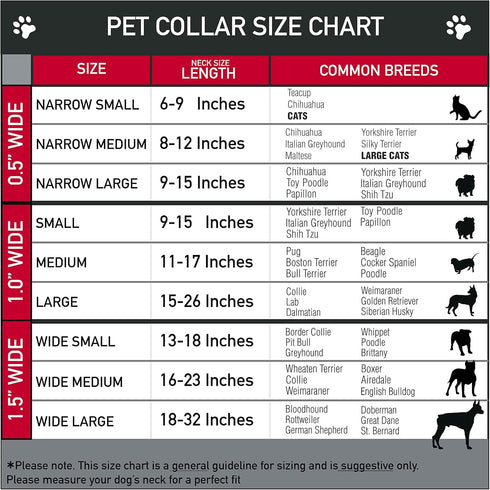 Buckle-Down Plastic Clip Collar, Zebra, 1.5" Wide, Fits 16-23" Neck, Medium